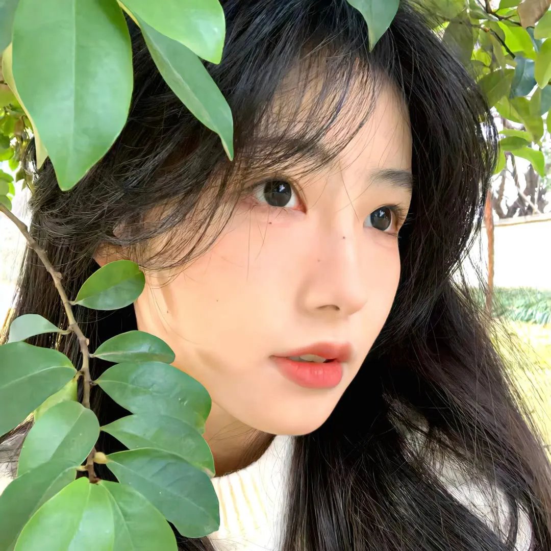 昼颜