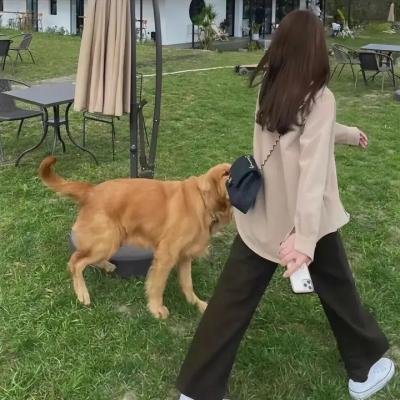 大圣无双